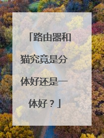 路由器和猫究竟是分体好还是一体好？