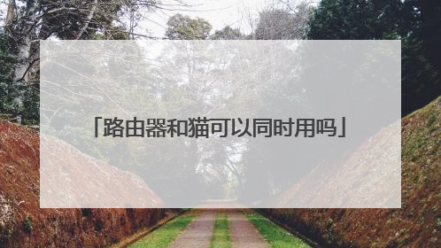 路由器和猫可以同时用吗