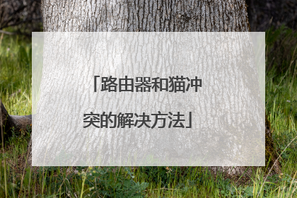 路由器和猫冲突的解决方法