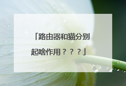 路由器和猫分别起啥作用？？？