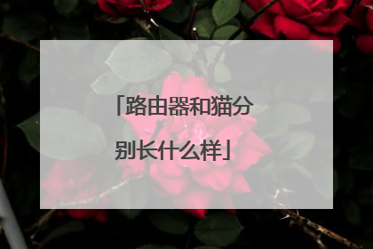 路由器和猫分别长什么样