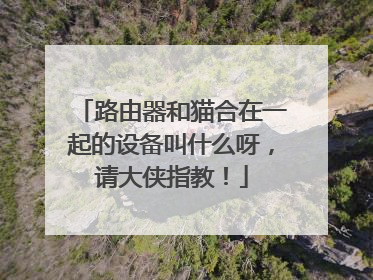 路由器和猫合在一起的设备叫什么呀,请大侠指教!