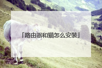 路由器和猫怎么安装