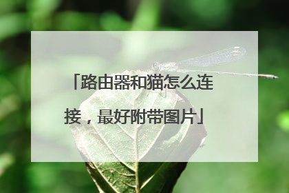 路由器和猫怎么连接，最好附带图片