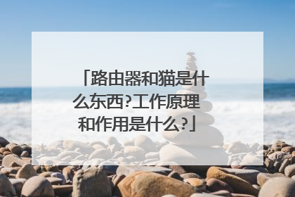 路由器和猫是什么东西?工作原理和作用是什么?