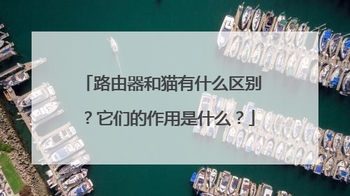路由器和猫有什么区别？它们的作用是什么？