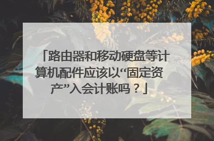 路由器和移动硬盘等计算机配件应该以“固定资产”入会计账吗？