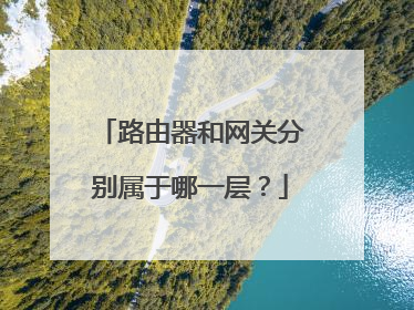 路由器和网关分别属于哪一层?