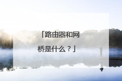 路由器和网桥是什么?
