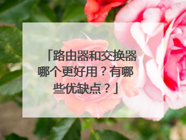 路由器和交换器哪个更好用？有哪些优缺点？