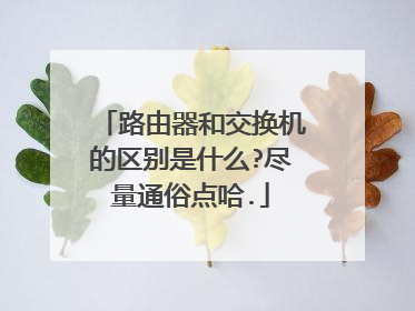 路由器和交换机的区别是什么?尽量通俗点哈.