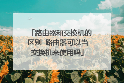 路由器和交换机的区别 路由器可以当交换机来使用吗
