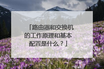 路由器和交换机的工作原理和基本配置是什么？