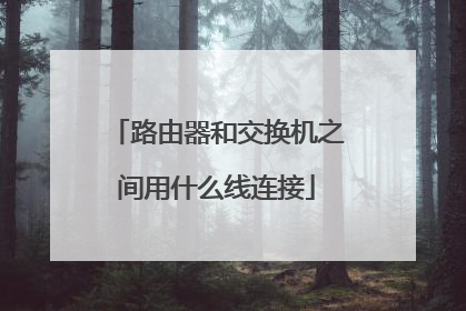 路由器和交换机之间用什么线连接
