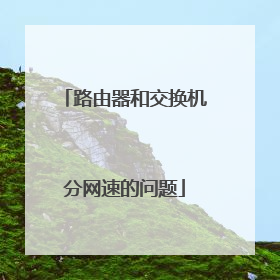 路由器和交换机分网速的问题