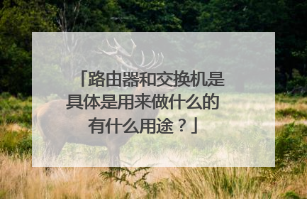 路由器和交换机是具体是用来做什么的有什么用途？