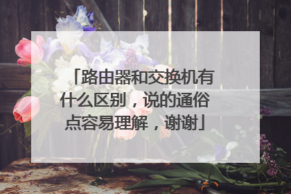 路由器和交换机有什么区别，说的通俗点容易理解，谢谢
