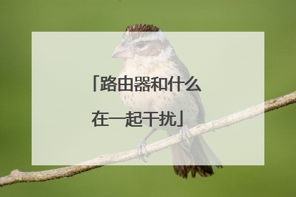 路由器和什么在一起干扰