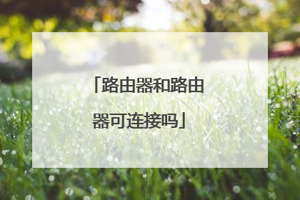 路由器和路由器可连接吗