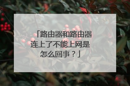 路由器和路由器连上了不能上网是怎么回事？