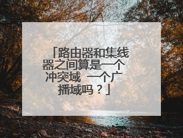 路由器和集线器之间算是一个冲突域 一个广播域吗？