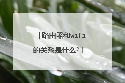路由器和wifi的关系是什么?