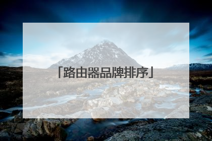 路由器品牌排序