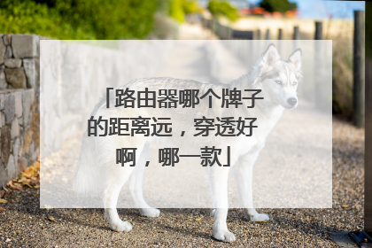 路由器哪个牌子的距离远，穿透好啊，哪一款