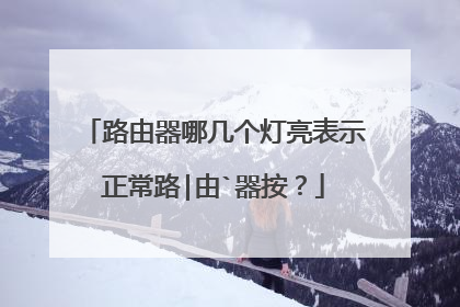 路由器哪几个灯亮表示正常路|由`器按?