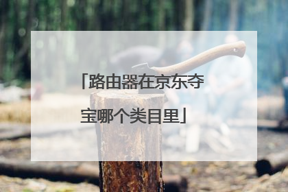 路由器在京东夺宝哪个类目里