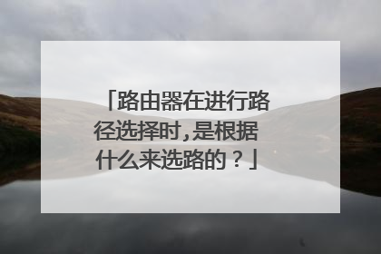 路由器在进行路径选择时,是根据什么来选路的？
