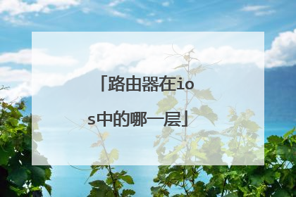 路由器在ios中的哪一层