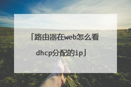 路由器在web怎么看dhcp分配的ip