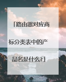 路由器对应商标分类表中的产品名是什么?