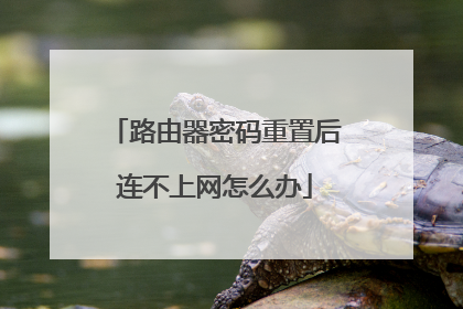 路由器密码重置后连不上网怎么办