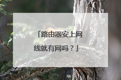 路由器安上网线就有网吗？