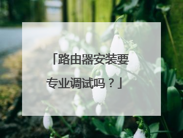 路由器安装要专业调试吗？
