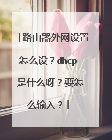 路由器外网设置怎么设?dhcp 是什么呀?要怎么输入?