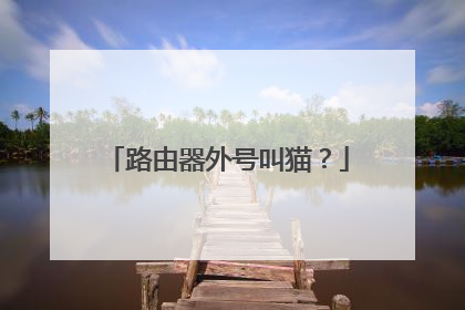 路由器外号叫猫？