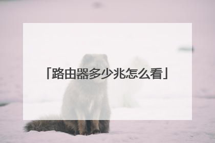 路由器多少兆怎么看