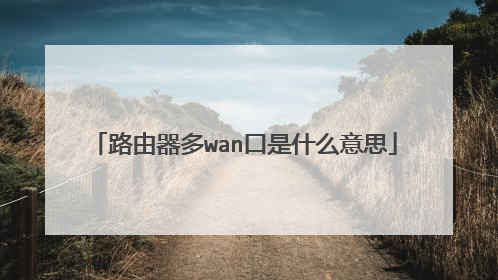路由器多wan口是什么意思