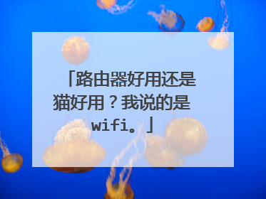 路由器好用还是猫好用？我说的是wifi。