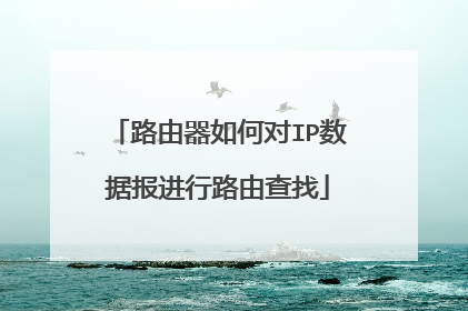 路由器如何对IP数据报进行路由查找