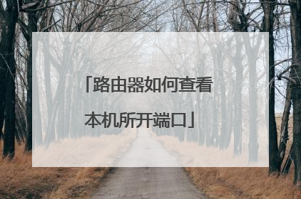 路由器如何查看本机所开端口