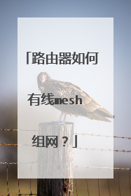 路由器如何有线mesh组网？