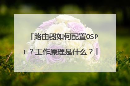 路由器如何配置OSPF?工作原理是什么?