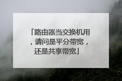 路由器当交换机用,请问是平分带宽,还是共享带宽
