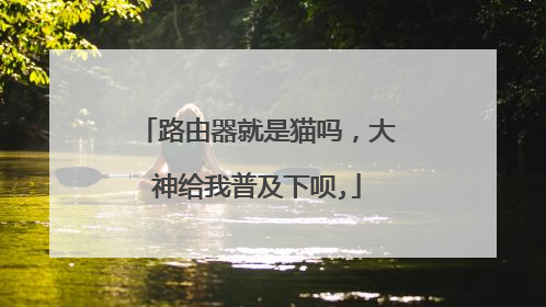 路由器就是猫吗，大神给我普及下呗,