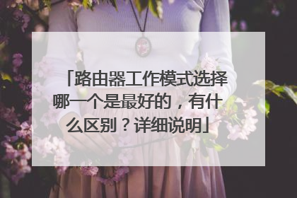 路由器工作模式选择哪一个是最好的，有什么区别？详细说明