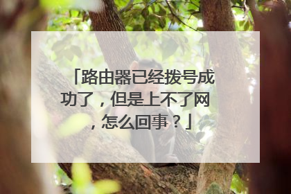 路由器已经拨号成功了，但是上不了网，怎么回事？